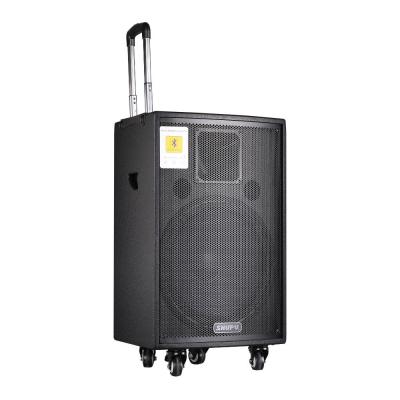 Loa kéo, loa di động công suất 330W Shupu AT-315